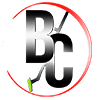 Bestcarpetcleaningmelbourne.com Review 3 by Partners bestcarpetcleaningmelbourne.com Logo